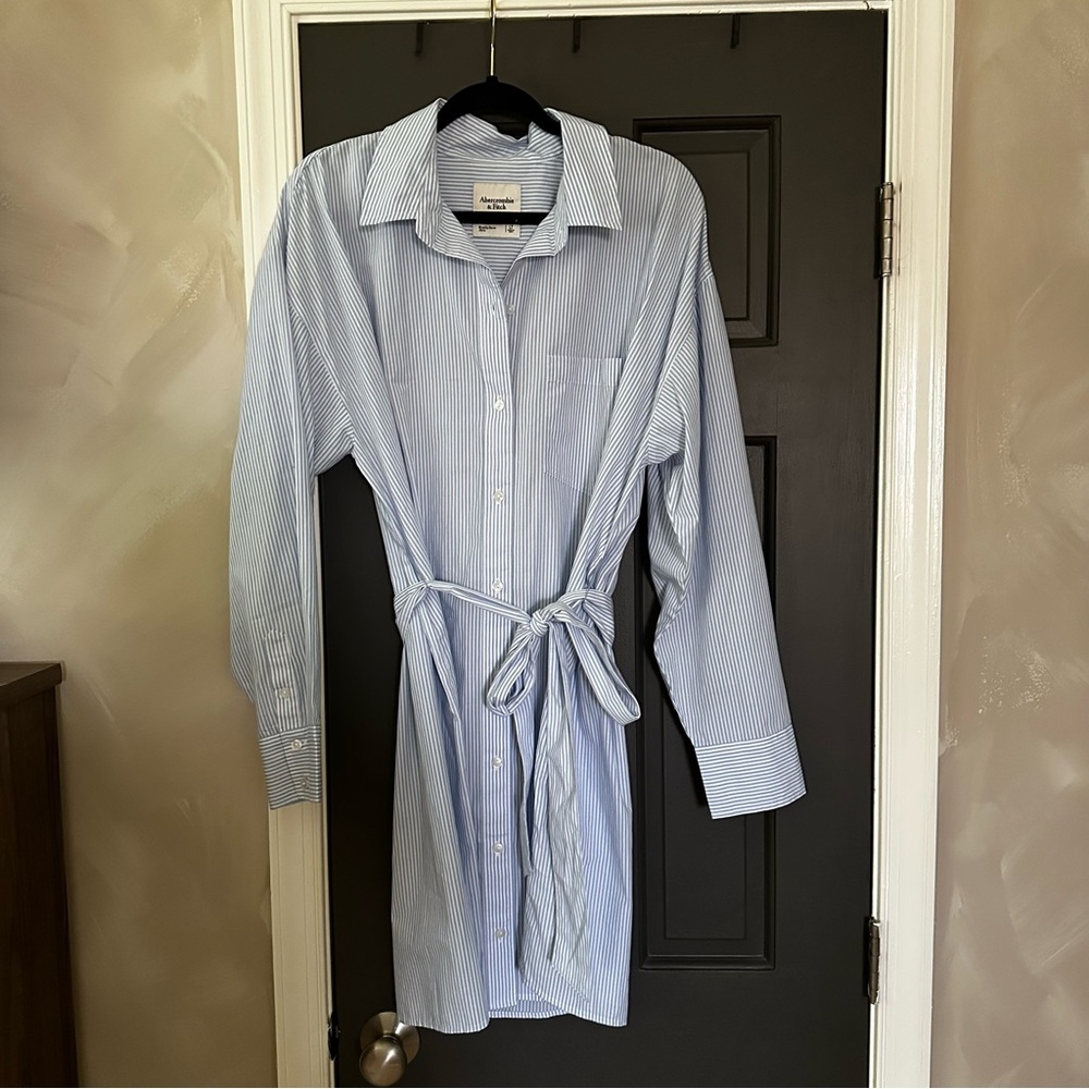Abercrombie & Fitch Blue Striped Shirt Dress